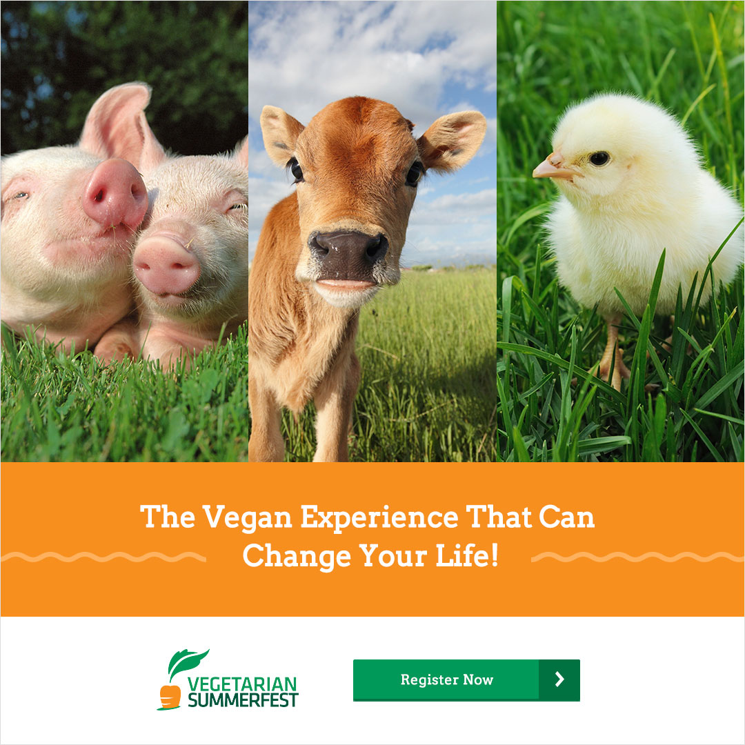 Help Promote Vegan Summerfest and Change Lives Vegan Summerfest